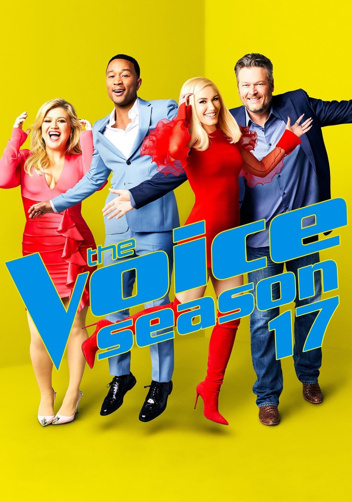 Voice 17